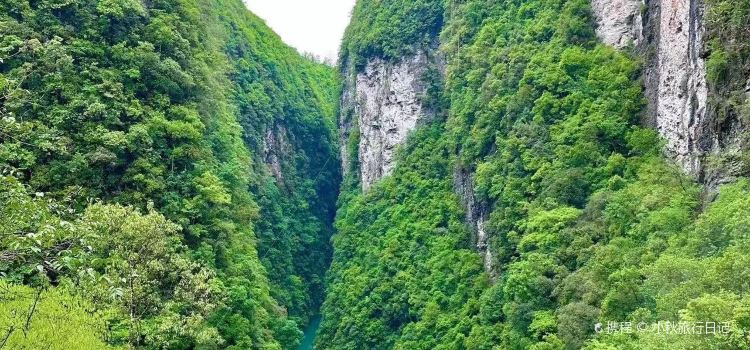 ZHANG GUAN GE ZHA NV ER CHENG DIAN