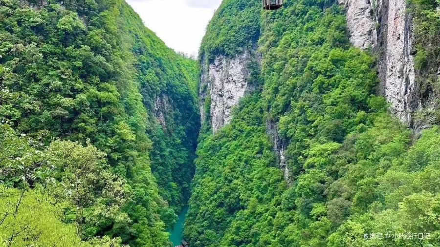 ZHANG GUAN GE ZHA NV ER CHENG DIAN