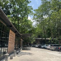 鸟鸣涧森林餐厅·野生菌–自然之味 여행 사진