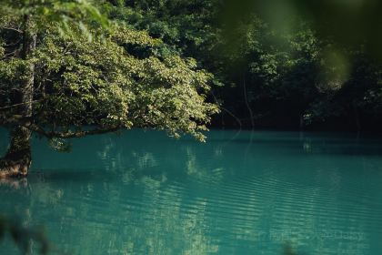 加榜梯田影友之家