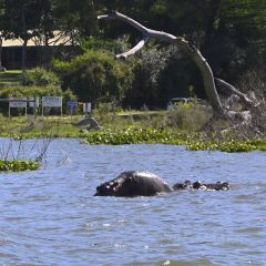 레이크 나이바샤 컨트리 클럽 여행 사진