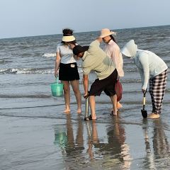 防城港白浪滩戴斯温德姆酒店·粤港轩中餐厅 User Photo