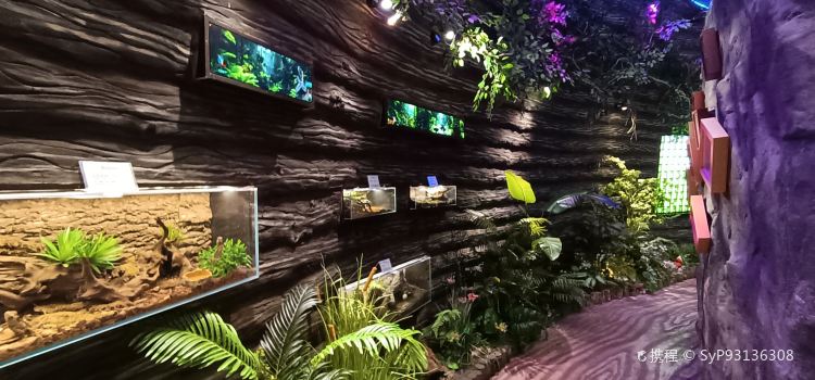 普洱小熊猫庄园·天碧餐厅