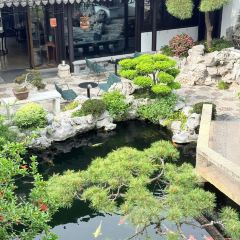 PINGJIANGSONG SUZHOU CUISINE IN GARDENS User Photo