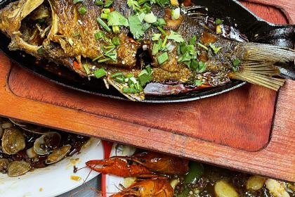 Benpaobaxiaolongxia (weilailu)