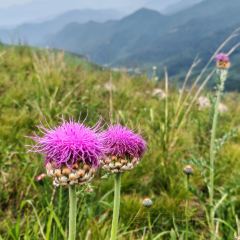 蔚州老沙锅(蔚县总店) User Photo