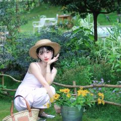 hill side 여행 사진