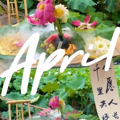 半湖云·湖景餐厅(普者黑景区店) User Photo