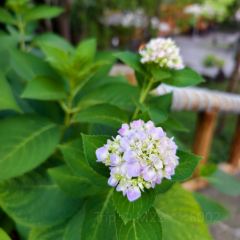 DONG PO SHAN ZHUANG TIAN YUAN SHENG TAI HUO GUO User Photo