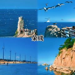 XINGHAIYUGANG User Photo