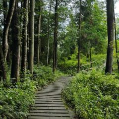 Zhaolaosixian'echang Hot Pot (pengzhoujiuchi) User Photo