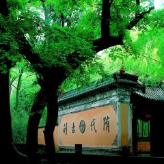 王阿姨梅花糕 User Photo