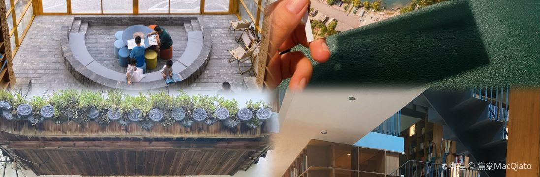 Tonglurendapaidang (yangguang)