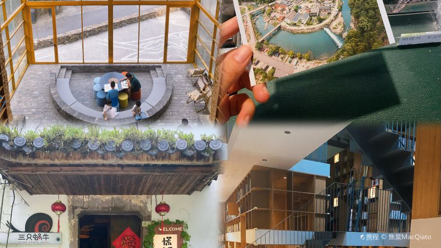 Tonglurendapaidang (yangguang)