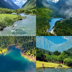 旧院柴火鸡(彭州店) User Photo