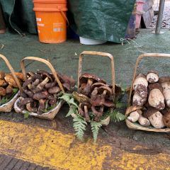 双龙烧烤城 User Photo