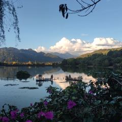 JIU GE RICE NOODLES User Photo