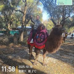 天山天池民俗风情园 User Photo