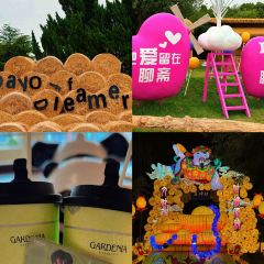 WEIDAOJIA MAMACAI User Photo