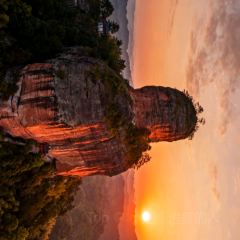 歙县三阳徽味馆 User Photo