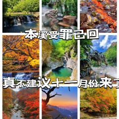 Number One User Photo