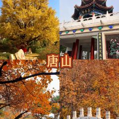 中街吊炉饼鸡蛋糕小吃部 User Photo