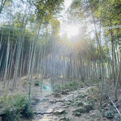 快樂家園•大魚王（南山竹海店）張用戶圖片