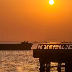 ZHUA FAN YU JIAN NANG KEN ROU User Photo