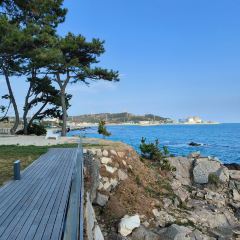 Waveon Coffee User Photo