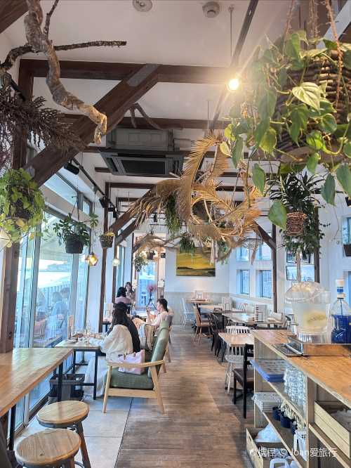 Windera Cafe 七里ヶ浜店