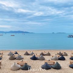 COCO TAM'S User Photo