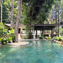 Beach Brasserie User Photo