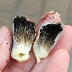 博爱杂拌王(果园路店) User Photo