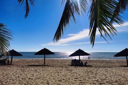 XI YING MEN BAO JIAN TIAN PIN DIAN