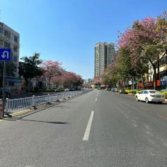 講口緣腸粉張用戶圖片