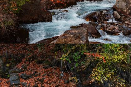 绵虒老陈记豆腐庄