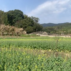 老永安粿条店(燕江中路店) User Photo