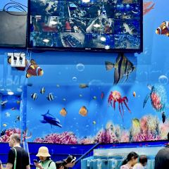 小海豚海鲜广场(清水湾店) 여행 사진