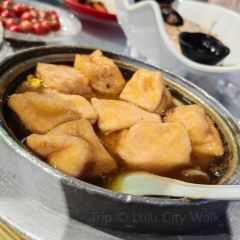 绿野仙踪生态农业园 User Photo