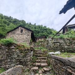 君健農家張用戶圖片