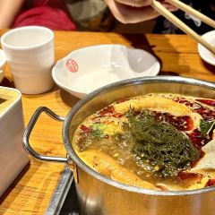小火炉小火锅 User Photo