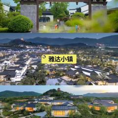 周震馄饨 User Photo