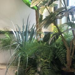 微时光咖啡馆 User Photo