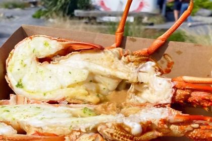 The Better Batter NZ