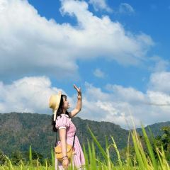 Warung Tepi Sawah 2769 User Photo