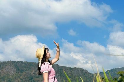 Warung Tepi Sawah 2769