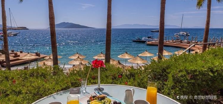 Orfoz Restaurant