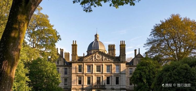 The Old Grammar School