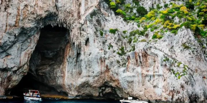 Ristorante La Limonaia (Hotel Syrene)
