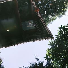 DA RUN LONG YAN ZHA ZHU ROU User Photo